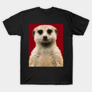 meerkat T-Shirt